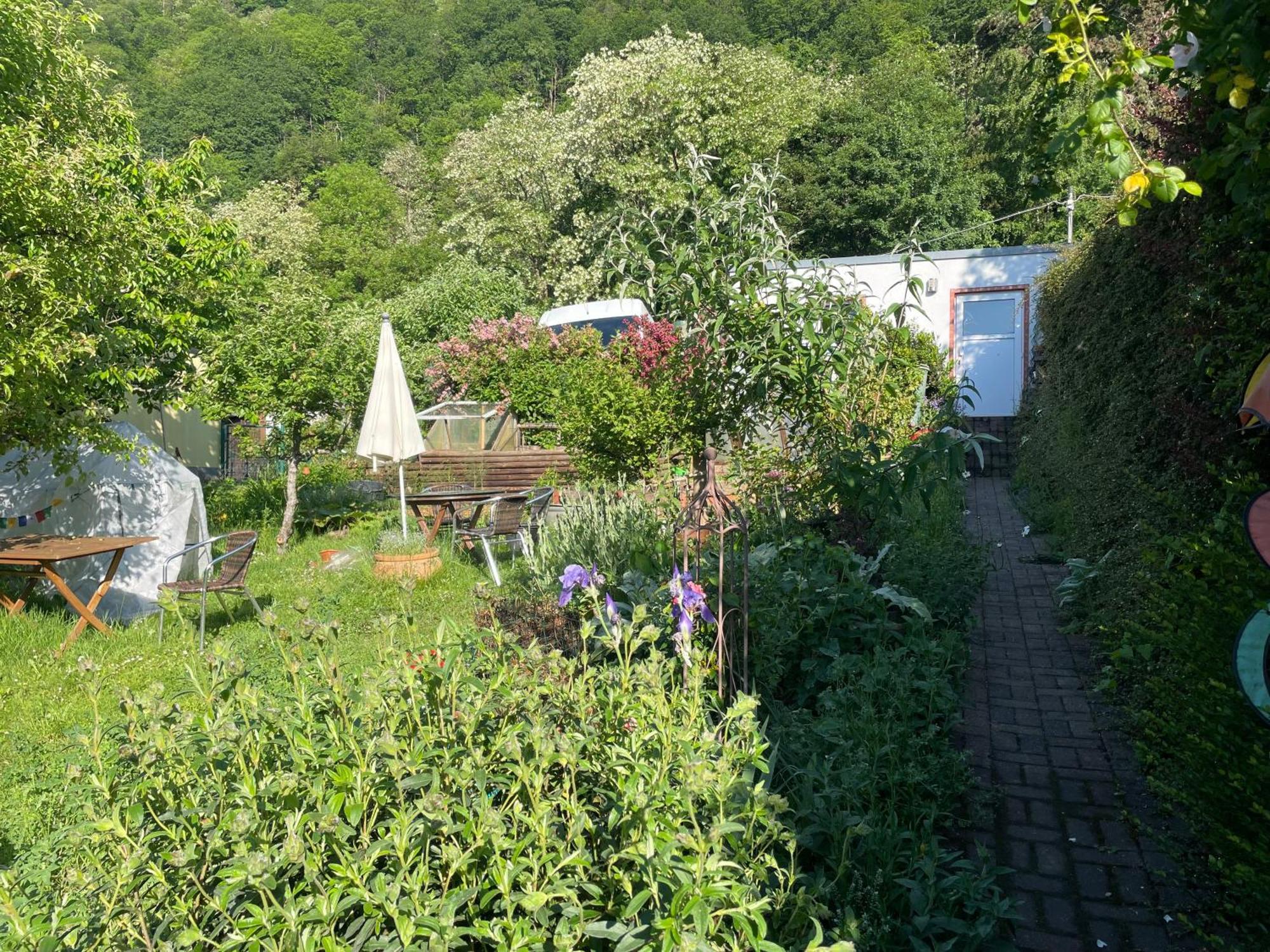 Blick Ins Gruene, Nah Am Zentrum Trier Kültér fotó